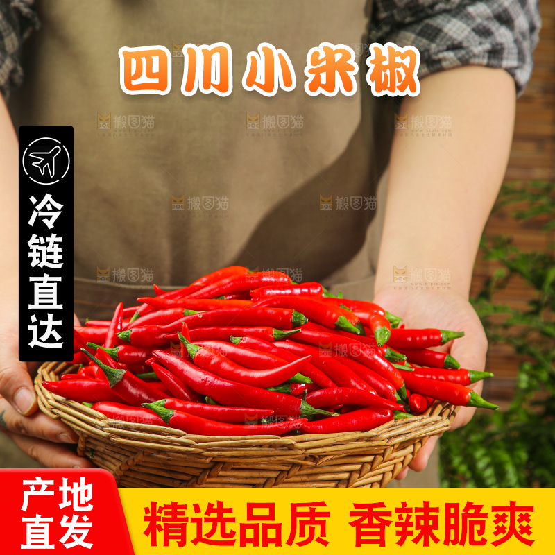 深底上的农家小米椒