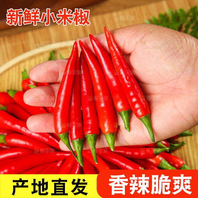 深底上的农家小米辣