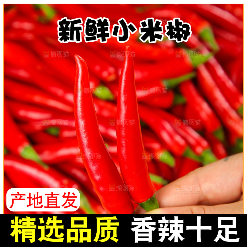 深底上的农家小米椒