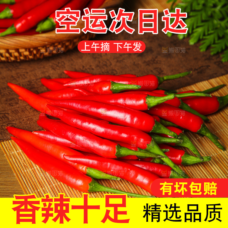 木底上的小米辣