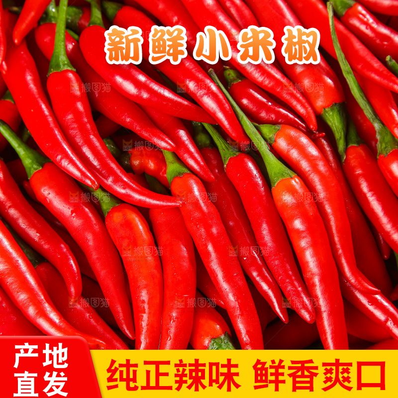 深底上的农家小米椒