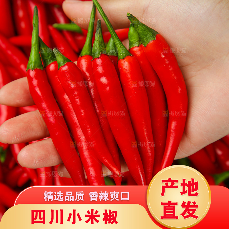 木底上的小米椒