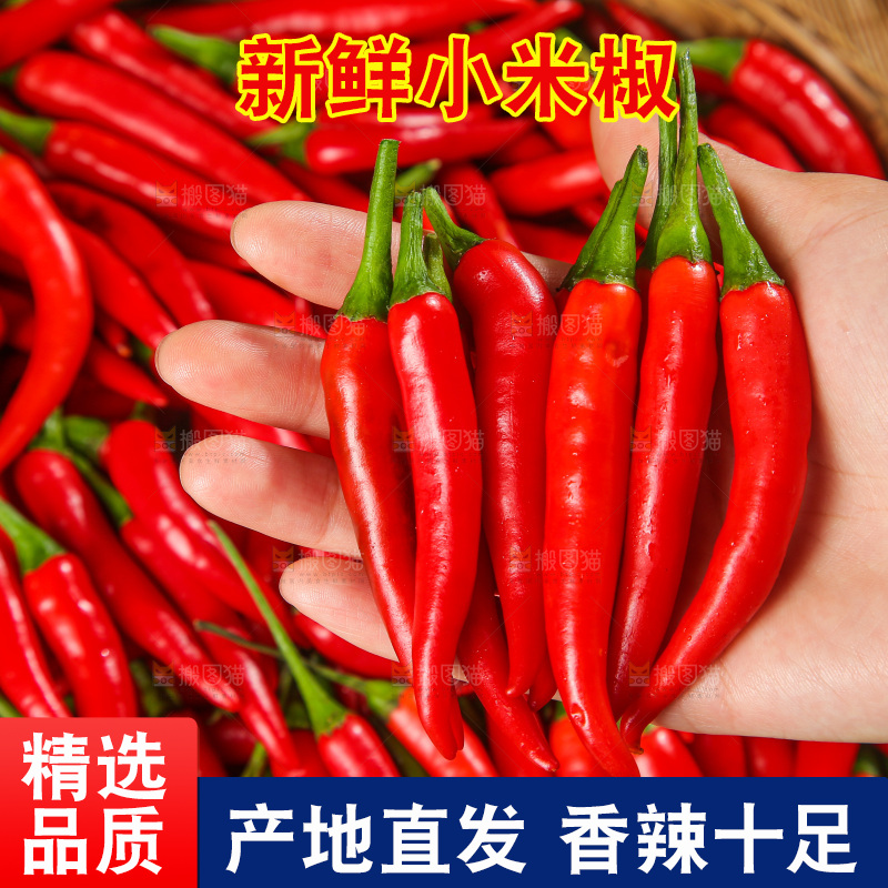 深底上的农家小米椒