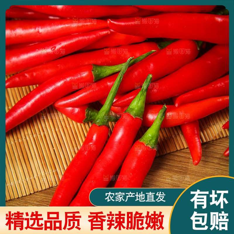 深底上的农家小米椒