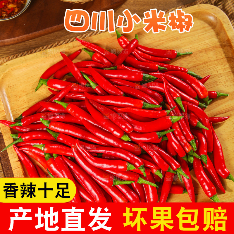深底上的农家小米椒