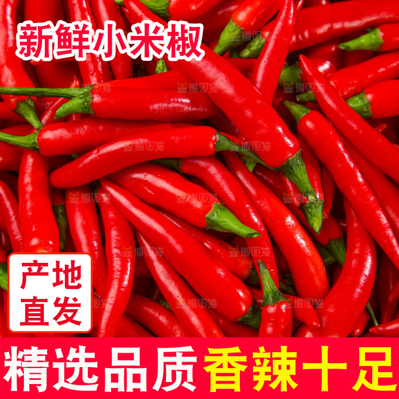 木底上的小米椒