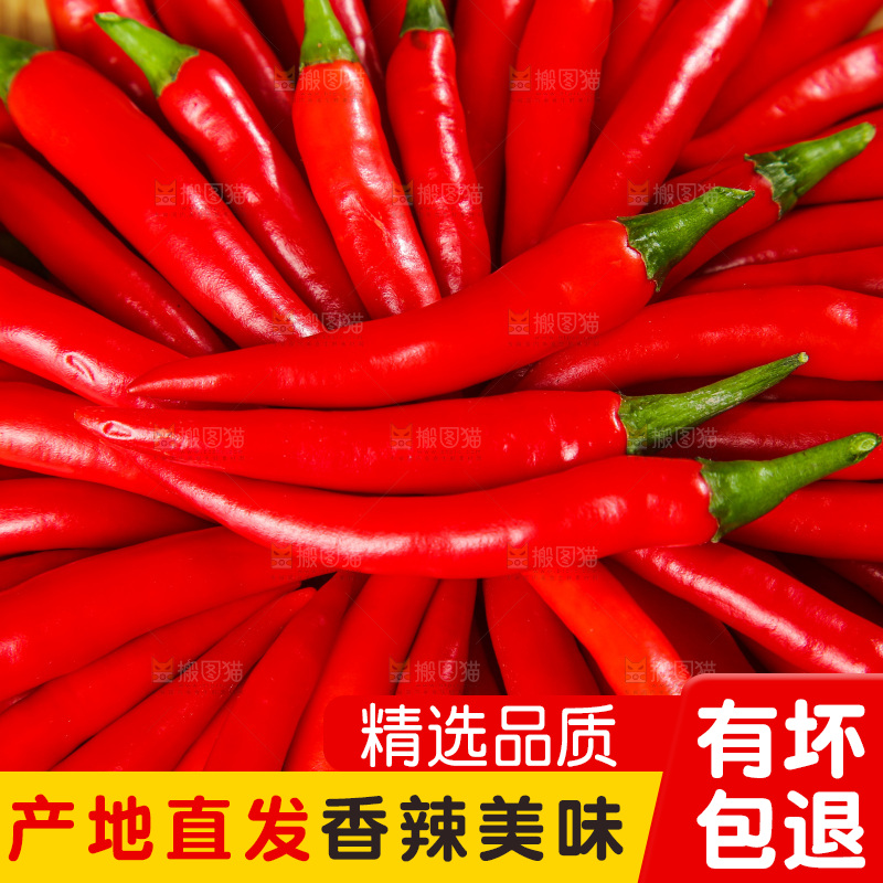 深底上的农家小米辣