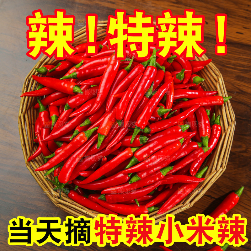 木底上的小米椒