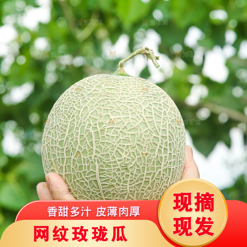 手里拿着玫珑蜜瓜