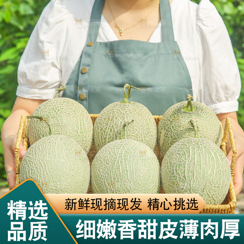 手里拿着网纹蜜瓜