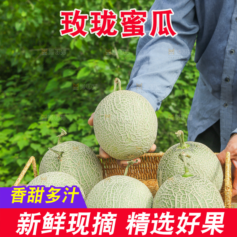 手里拿着网纹蜜瓜