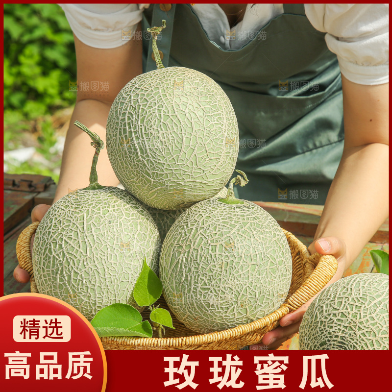 手里拿着玫珑网纹瓜