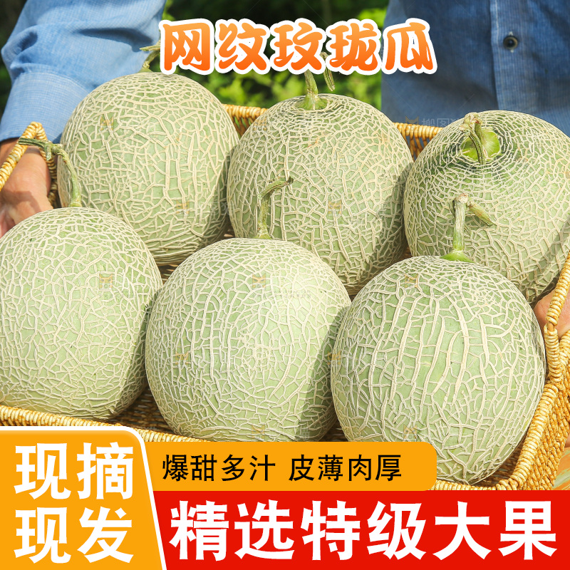 手里拿着玫珑蜜瓜