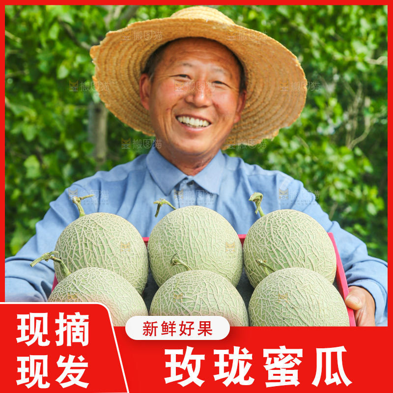 手里拿着玫珑网纹瓜