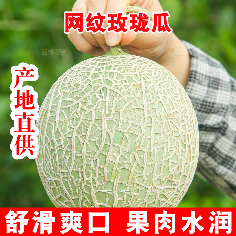 手里拿着玫珑蜜瓜