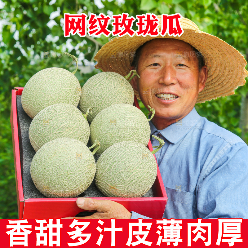 手里拿着玫珑网纹瓜