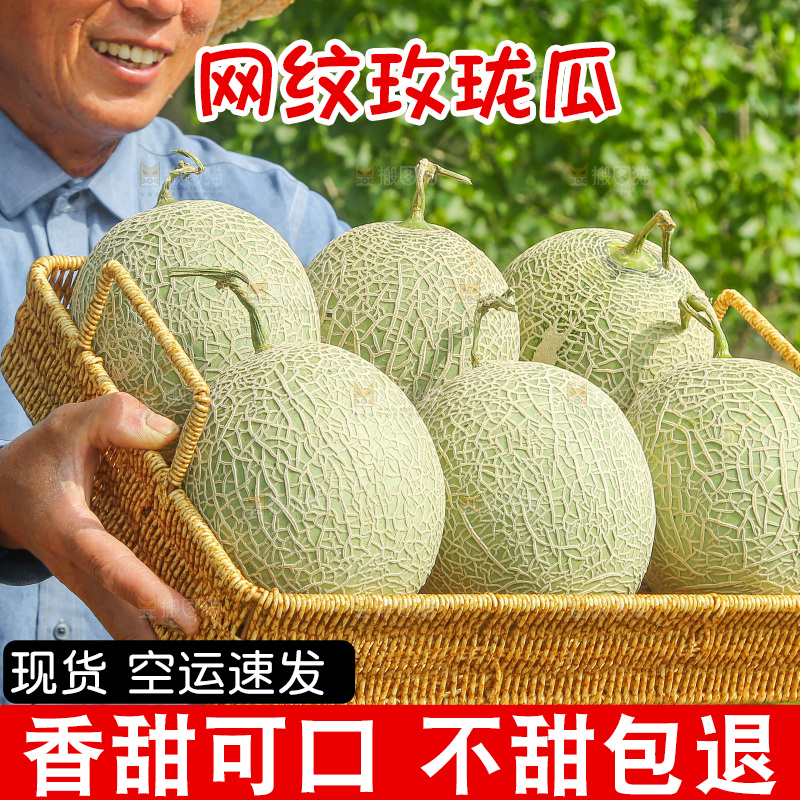 手里拿着网纹蜜瓜