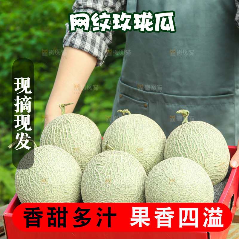 手里拿着玫珑网纹瓜