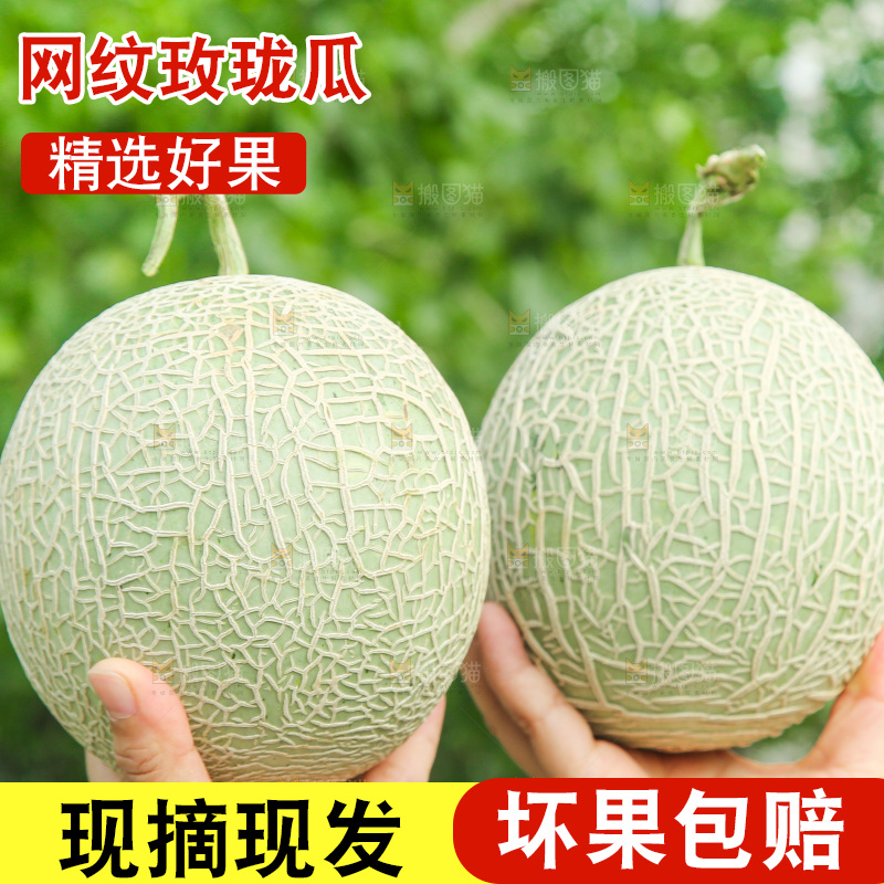 手里拿着玫珑蜜瓜