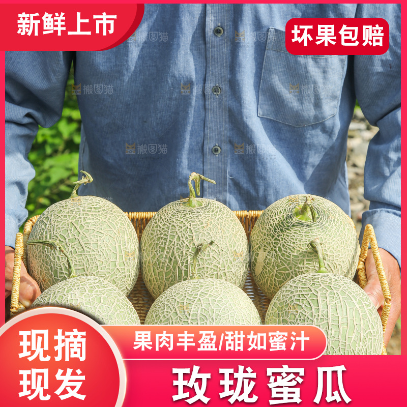 手里拿着玫珑蜜瓜