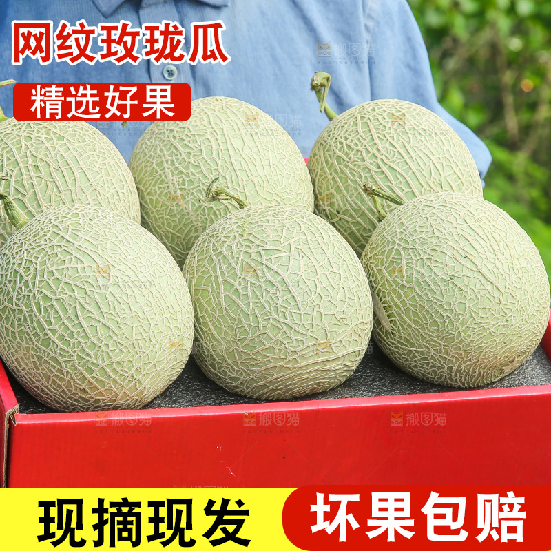 手里拿着玫珑网纹瓜