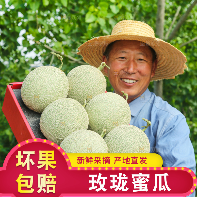 手里拿着玫珑网纹瓜
