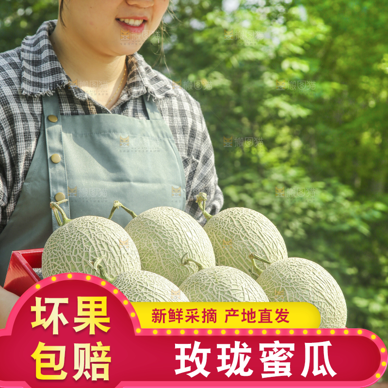 手里拿着玫珑网纹瓜