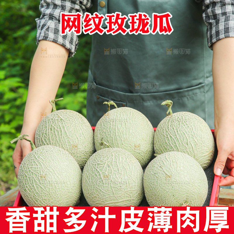 手里拿着玫珑网纹瓜