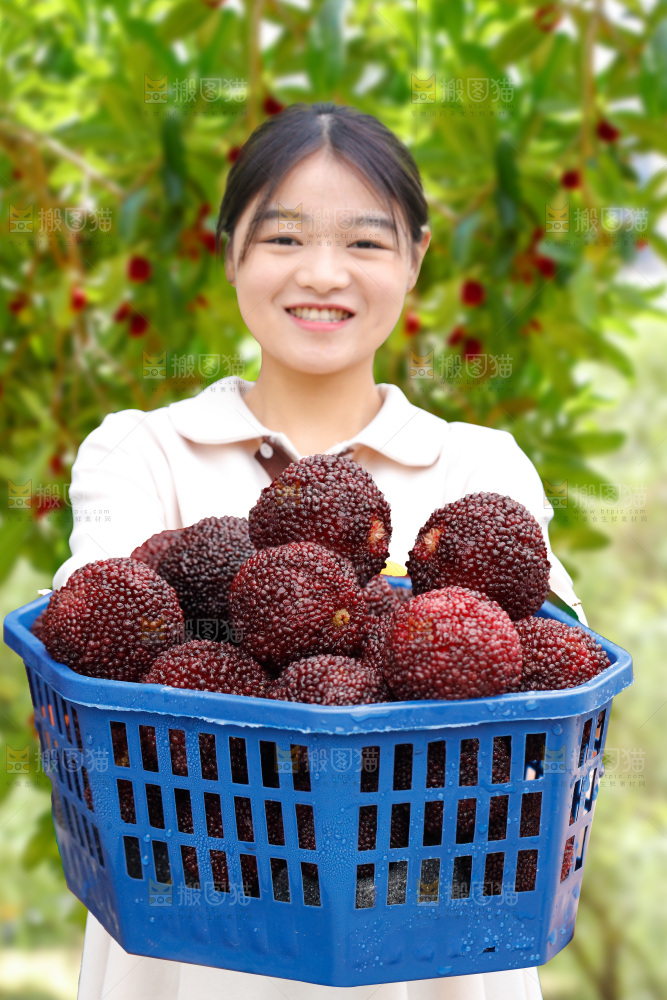 手里拿着新鲜杨梅