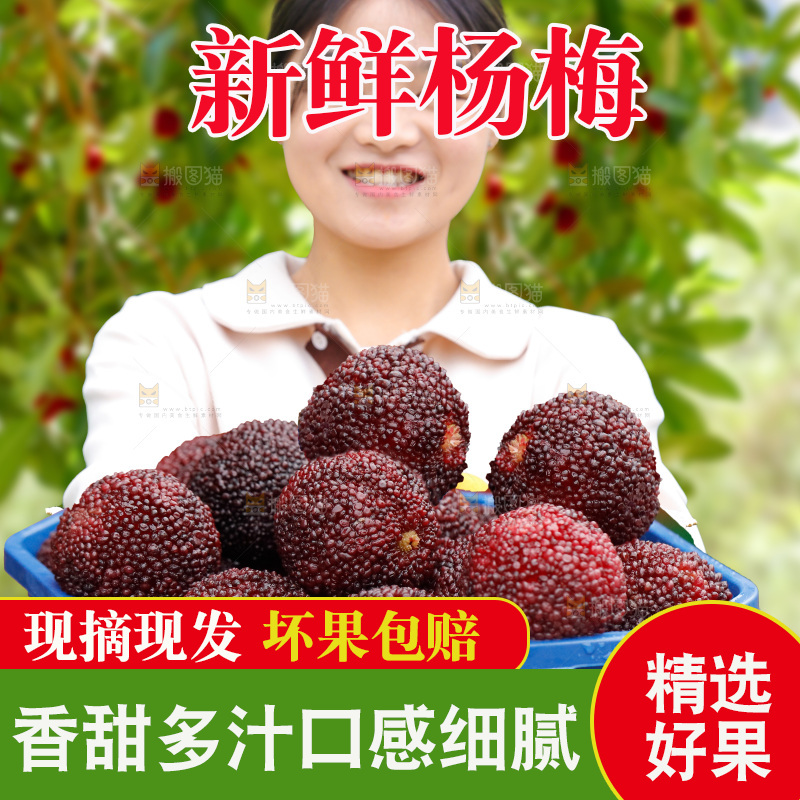 手里拿着新鲜杨梅
