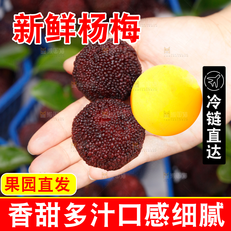 手里拿着新鲜杨梅