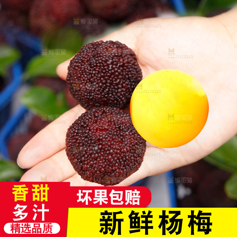 手里拿着新鲜杨梅