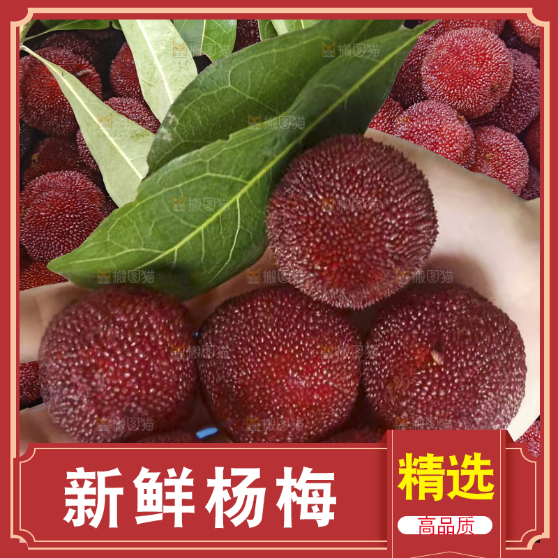 手里拿着新鲜杨梅