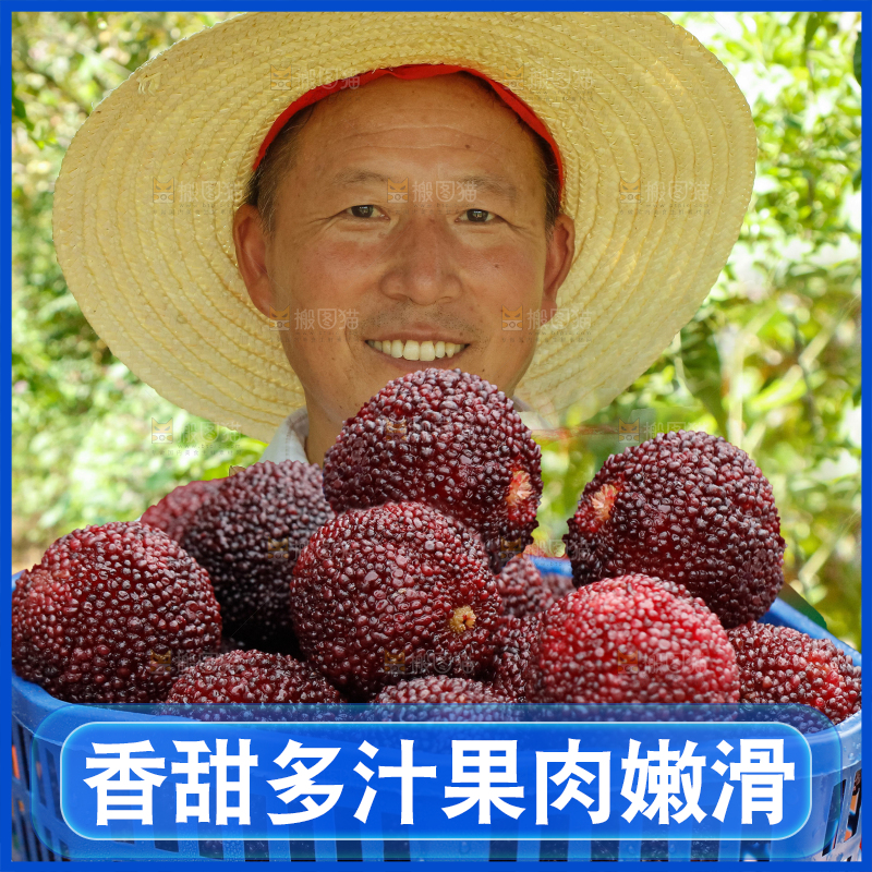 手里拿着新鲜杨梅