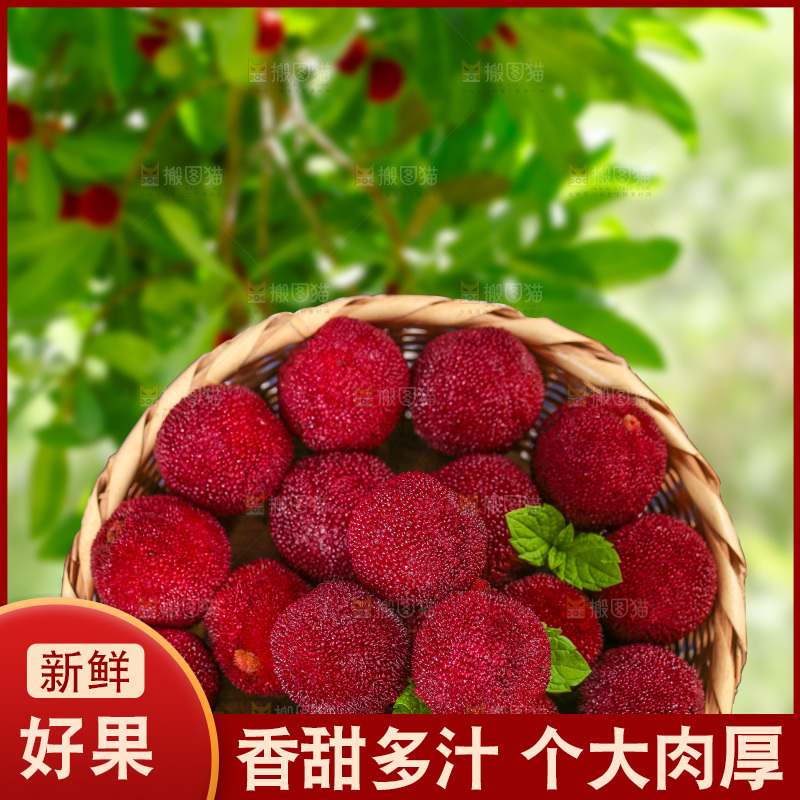 篮子里堆放着的杨梅