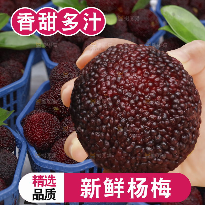 手里拿着新鲜杨梅