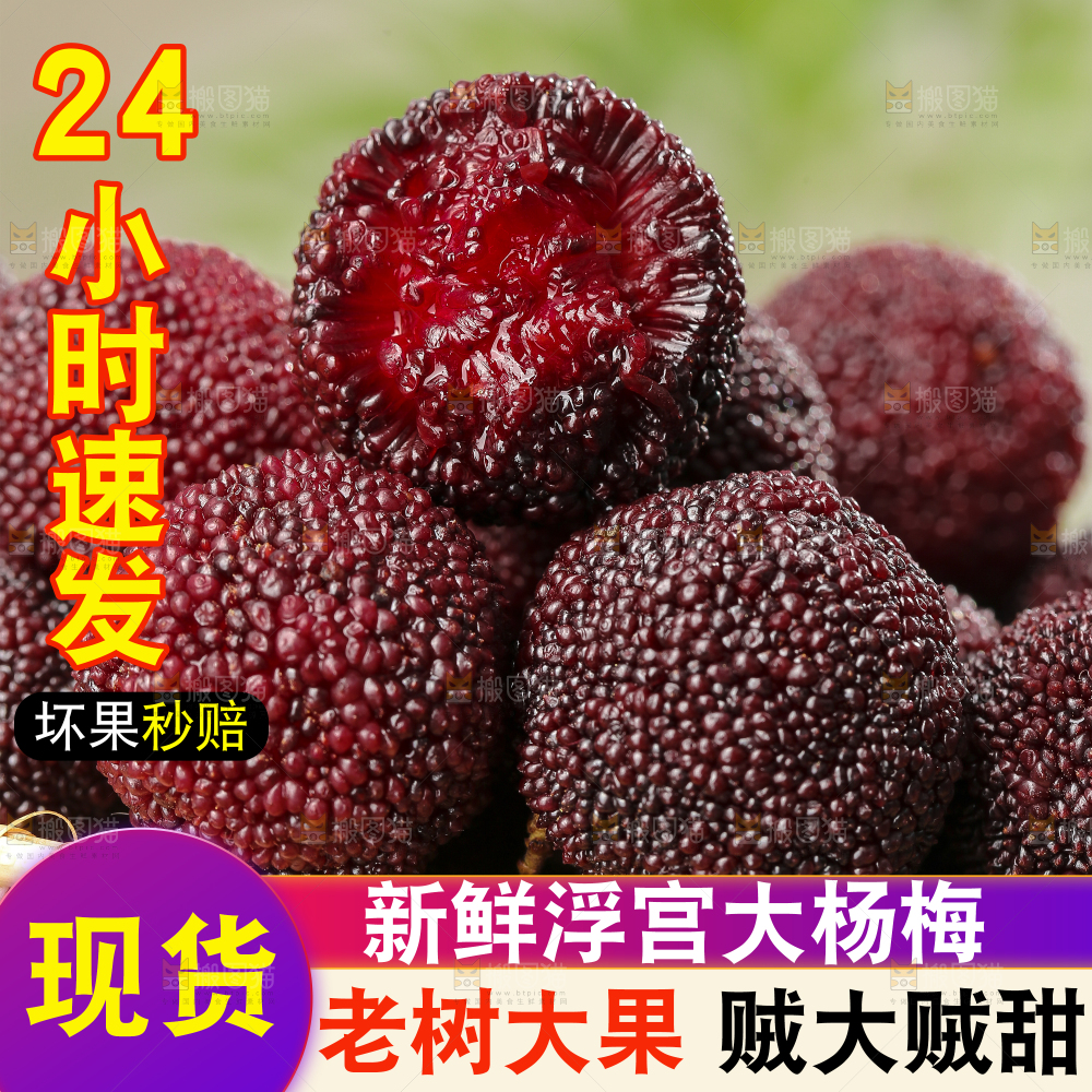 新鲜东魁杨梅主图