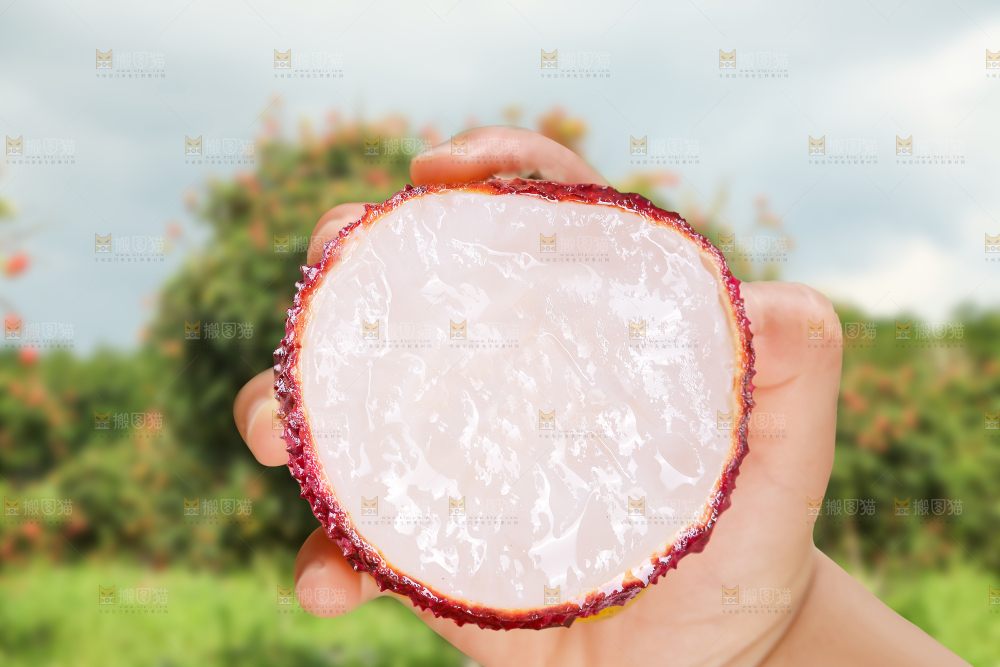 手里拿着无核荔枝