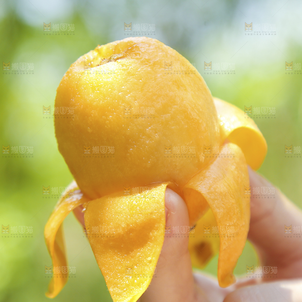 手里拿着五星枇杷
