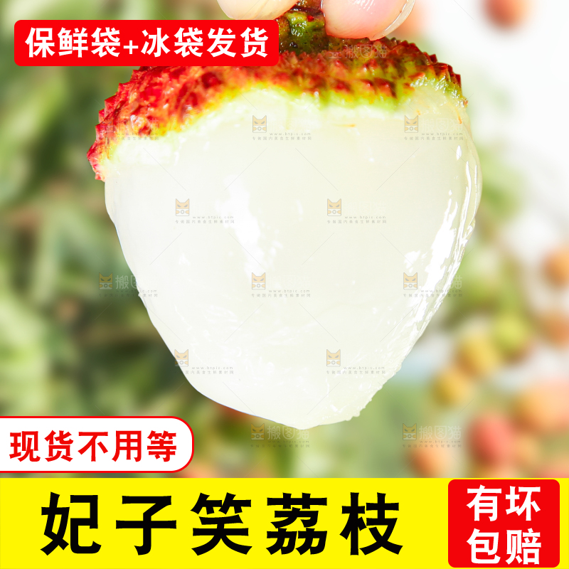 木底上的妃子笑
