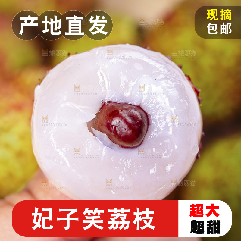 浅底上的妃子笑