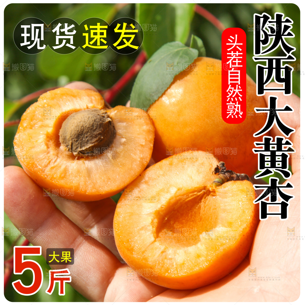 新鲜大黄杏主图