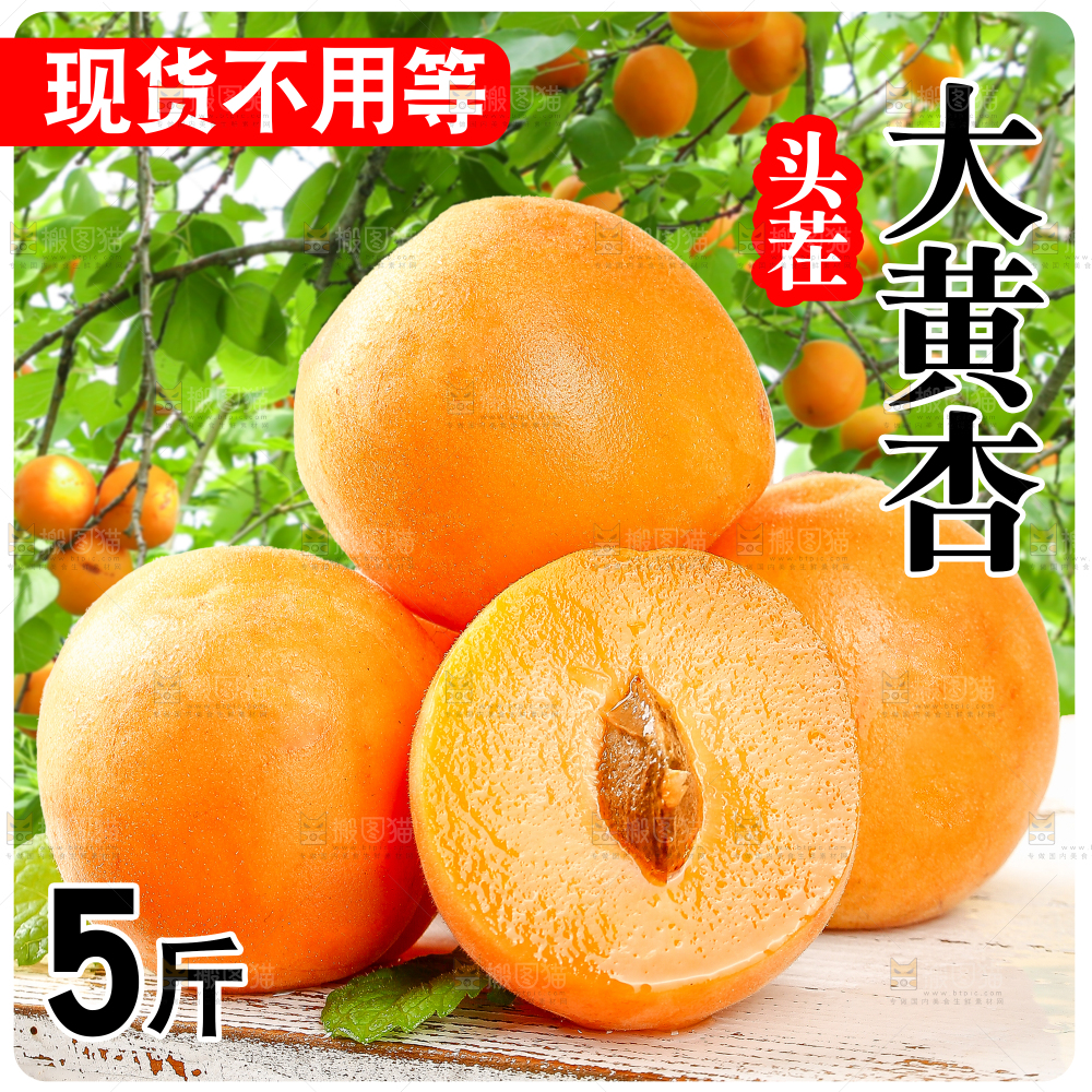 新鲜大黄杏主图