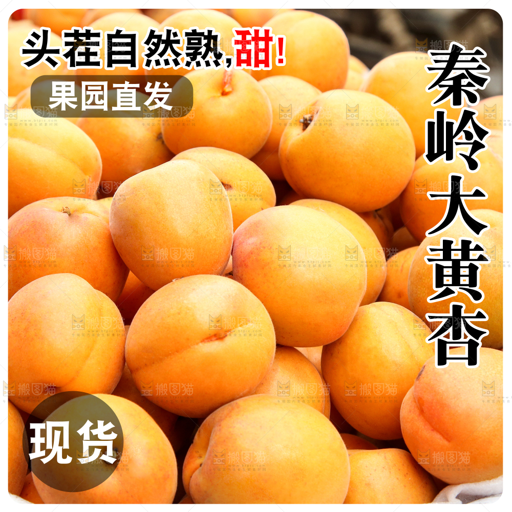 大黄杏主图