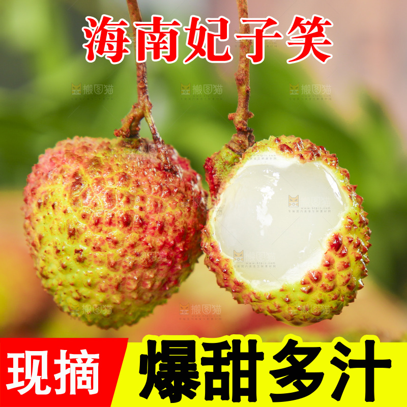 浅底上的妃子笑荔枝