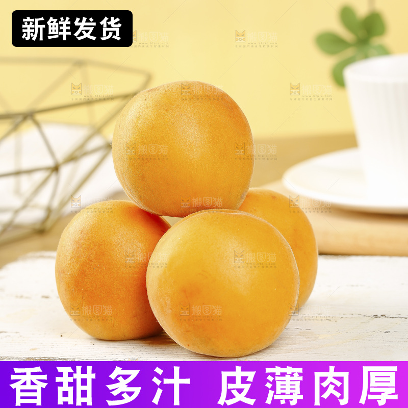 浅底上的大黄杏
