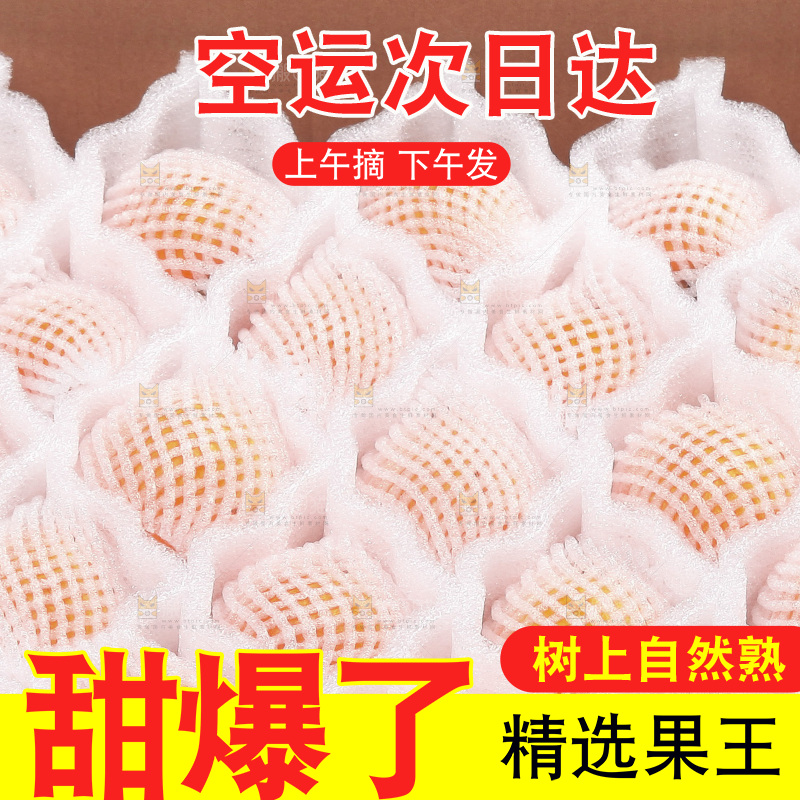 枇杷主图