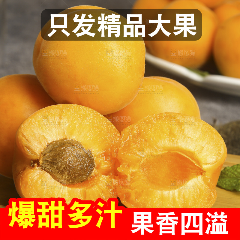 堆放着的大黄杏