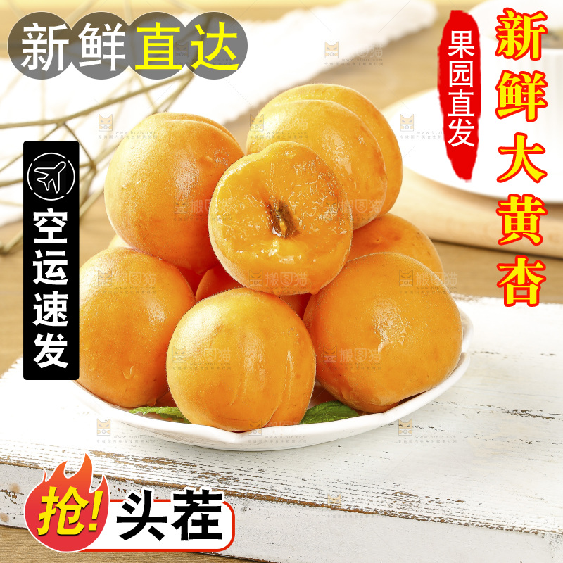 浅底上的大黄杏