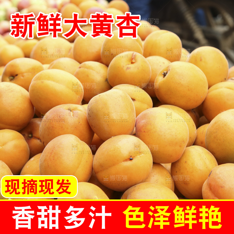 堆放着的大黄杏